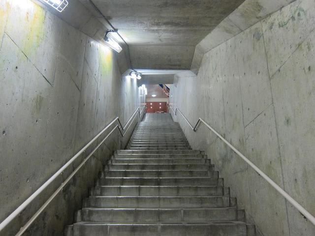 イメージ 12