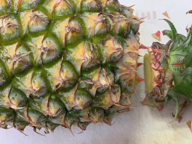 台湾パインは食べやすい さぶりんブログ 台湾パインは食べやすい さぶりんブログ