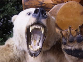 凶暴な動物たち エミリー暴走最前線