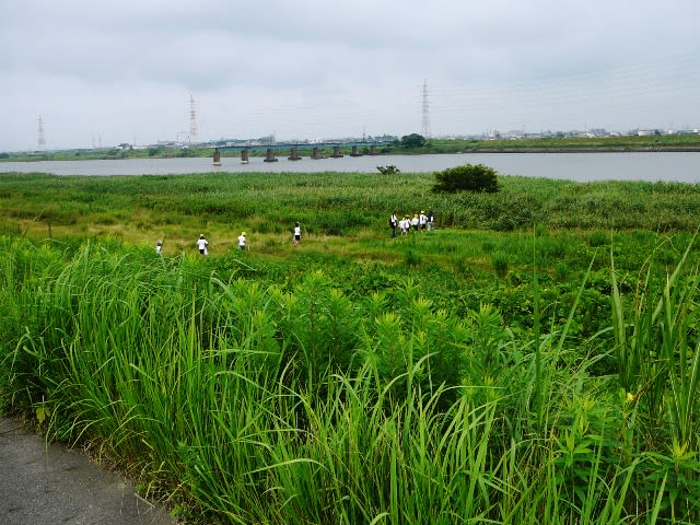 夏休みの部活の画像