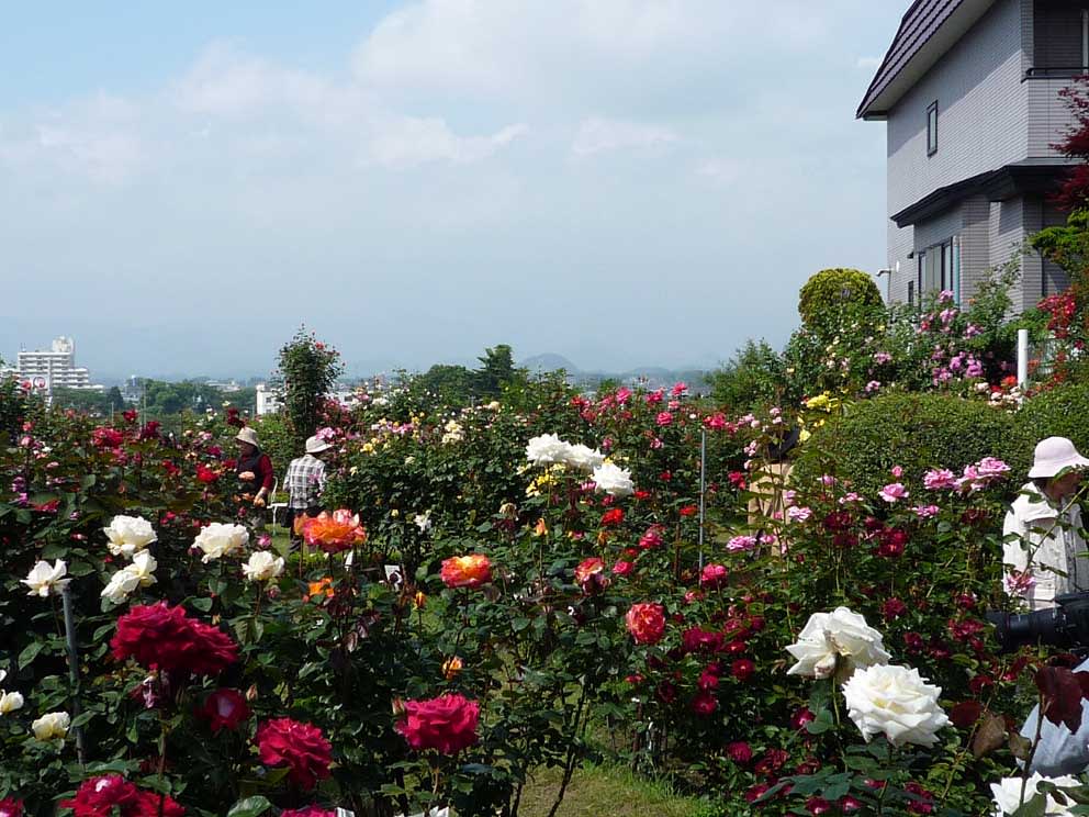 https://blogimg.goo.ne.jp/user_image/25/bf/cff95da10a67d141af8bcb492d855d9f.jpg