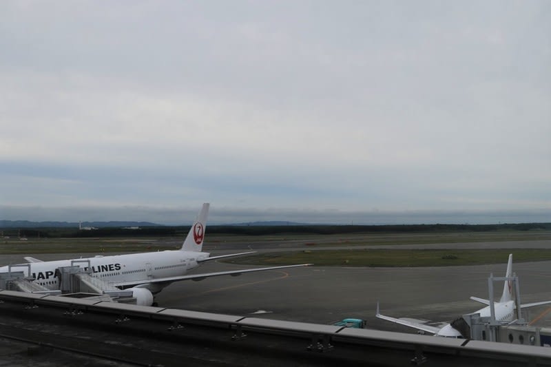17年7月24日 新千歳空港 タイジャンボとエア アジアa330 Naoの乗り物探訪日記 17年7月24日 新千歳空港 タイジャンボとエア アジアa330 Naoの乗り物探訪日記