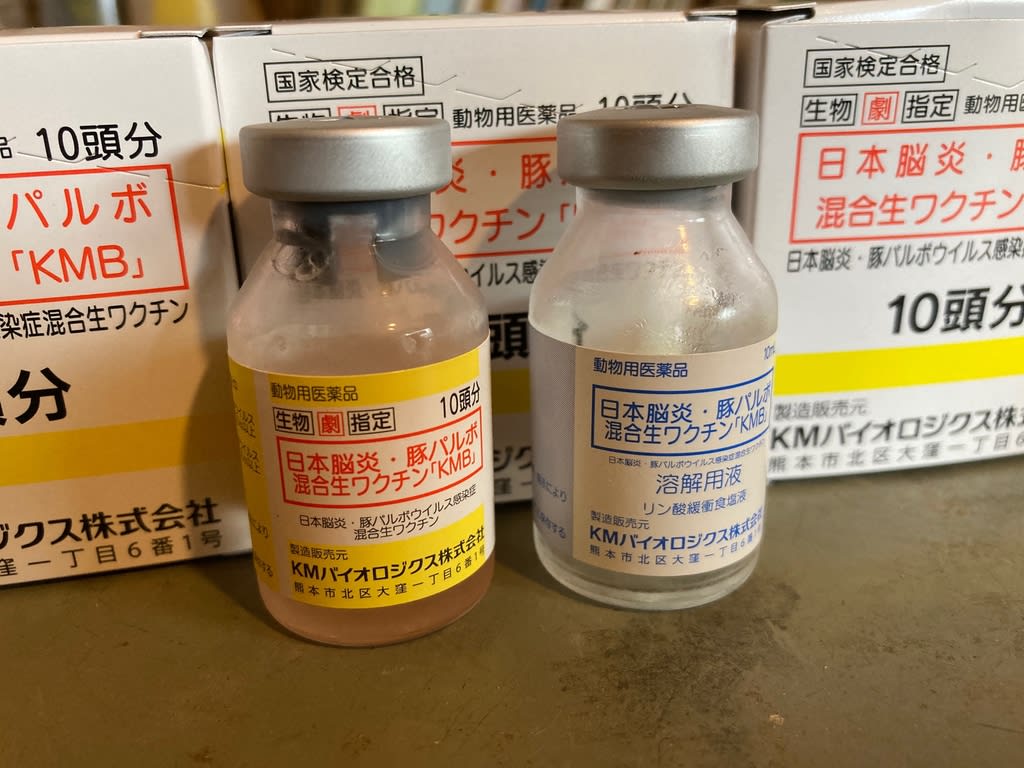 ワクチン 日本 脳炎