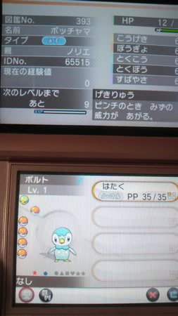 いろちがい ランターン やま うみ