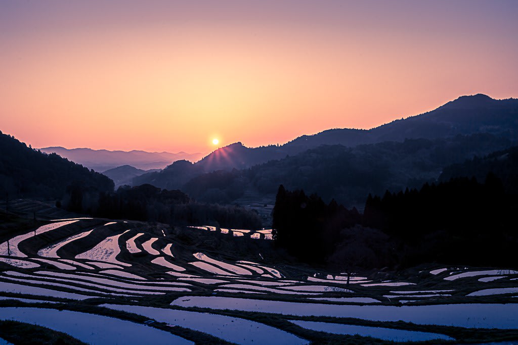 大山千枚田の夜明けの写真