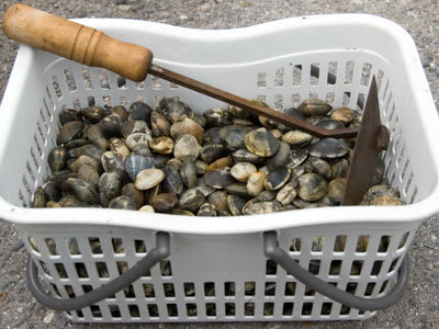 潮干狩り 吉良町吉田海岸 正直山荘 別館