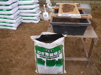 ネギ 培土詰め作業良い感じ 岳と百姓と