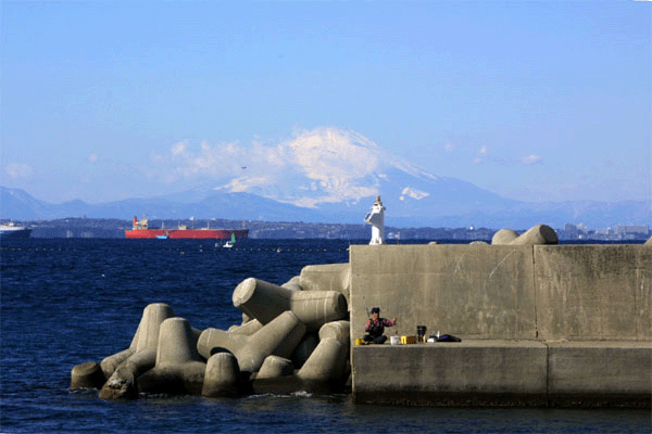  保田漁港の富士山 