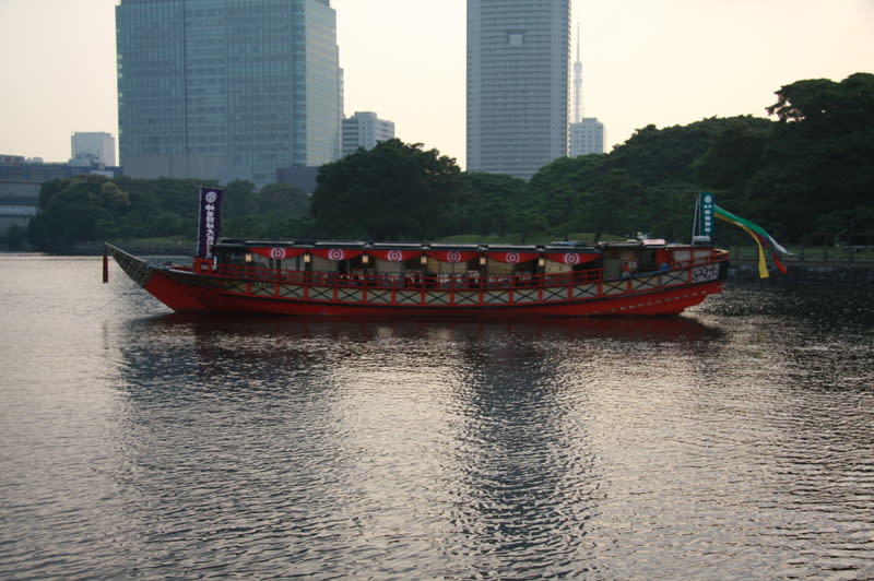 Img_3528 Img_3528