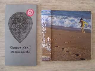 大人になれば」 小沢健二 1996年 - 失われたメディア-8cmCDシングルの世界-