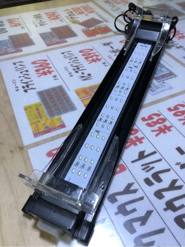 中古コトブキフラットledライト3545 熱帯魚店モンスターアクアリウム 川口店 買取販売情報 中古コトブキフラットledライト3545 熱帯魚店モンスターアクアリウム 川口店 買取販売情報