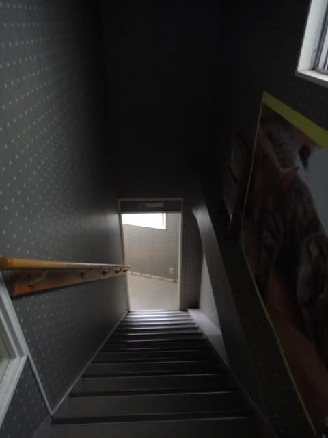 暗い階段 ｃａｔｒｏｏｍこるね雑記