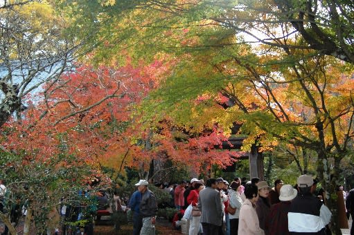 小松寺の紅葉まつり 日々あれこれ