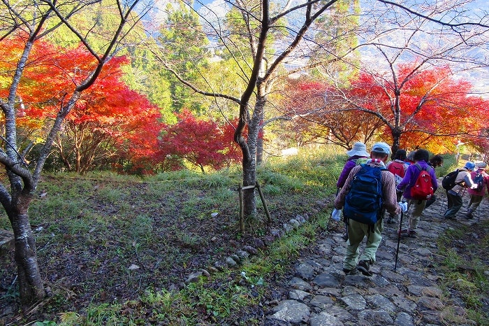26 高野山 熊野古道 熊野三山散策と瀞峡廻り 次の拠点へ紅葉の盛りに 赤帽さんのブログ
