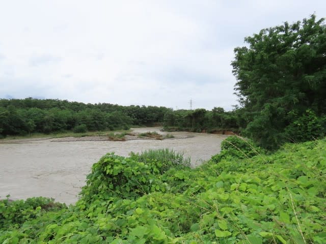 奈良井川堤防道路の通行止め