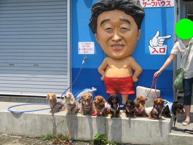 イメージ 6