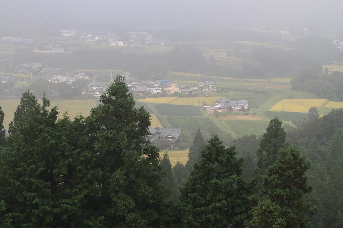 仲間に助けられての撮影会の画像