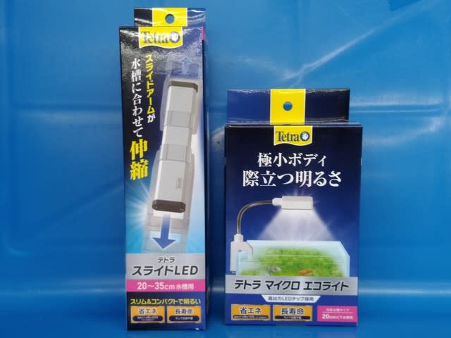 新商品 テトラ - かねだい草加店ブログ♪ 新商品 テトラ - かねだい草加店ブログ♪