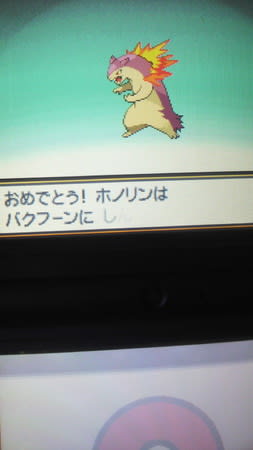いろちがい マグマラシ バクフーン やま うみ
