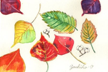 秋の植物 のブログ記事一覧 小栗栖好子 水彩画 イラスト