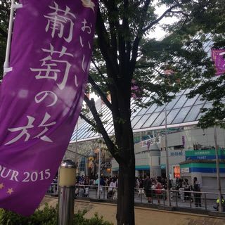 サザンオールスターズ LIVE TOUR 2015 ～おいしい葡萄の旅～ （東京ドーム2日目） - 禁煙中！！( ´ー`)y-~~~