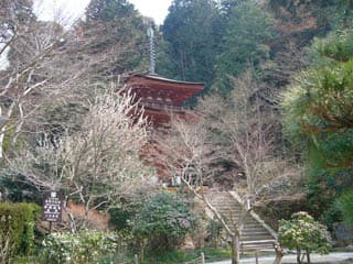 浄瑠璃寺庭園の写真