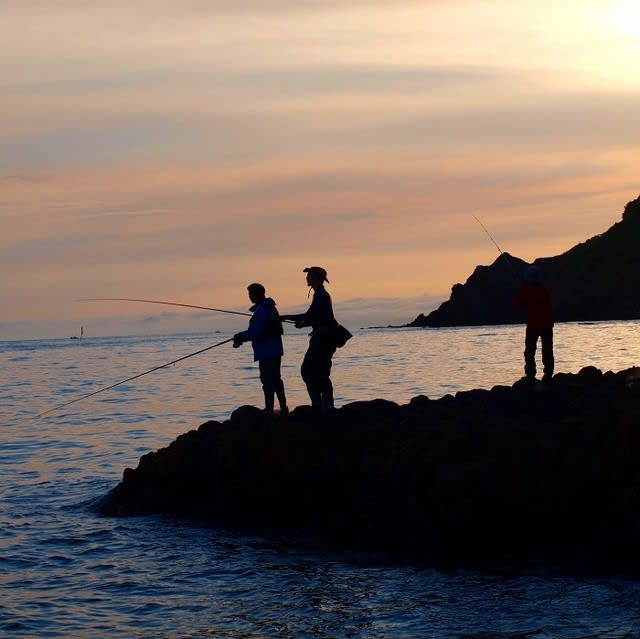 増毛マッカ岬にハチガラとブリ 昨年のリベンジ成功 へたのヨコ釣り北海道日誌