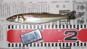 H210108 H210108