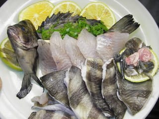 祝６００ 石鯛幼魚の姿造り 芳賀ちゃんのオサカナ釣題 酒 肴 料理 釣り