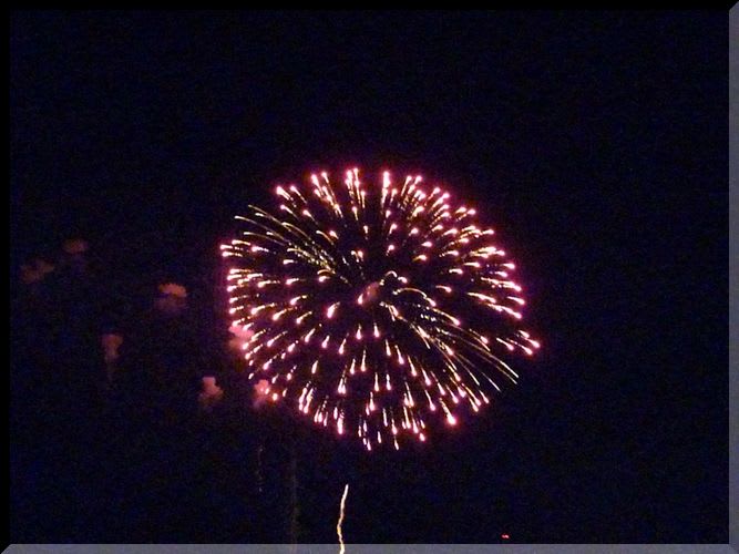 昨夜は夏祭りの花火 パグの空とミニチュアダックスの姫のほんわかぁ日記