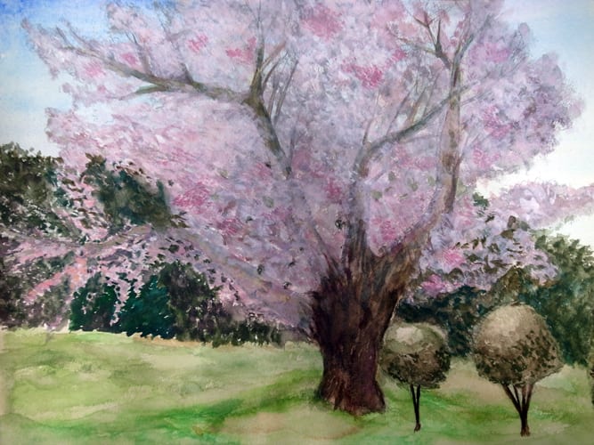 大輪の桜 モノ作り 自分作り 大輪の桜 モノ作り 自分作り
