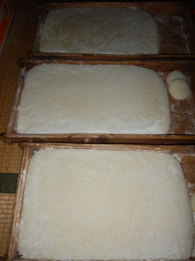 こおりばっぽ 美作の方言 かきもち 岡山の山間部でゆったりとガーデニング