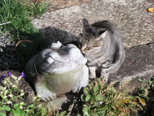 愛のバッテリー 陽出る処の書紀