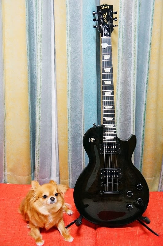 94 Gibson Les Paul Studio Limited Edition 13/50 - ヒデェVH 94 Gibson Les Paul Studio Limited Edition 13/50 - ヒデェVH