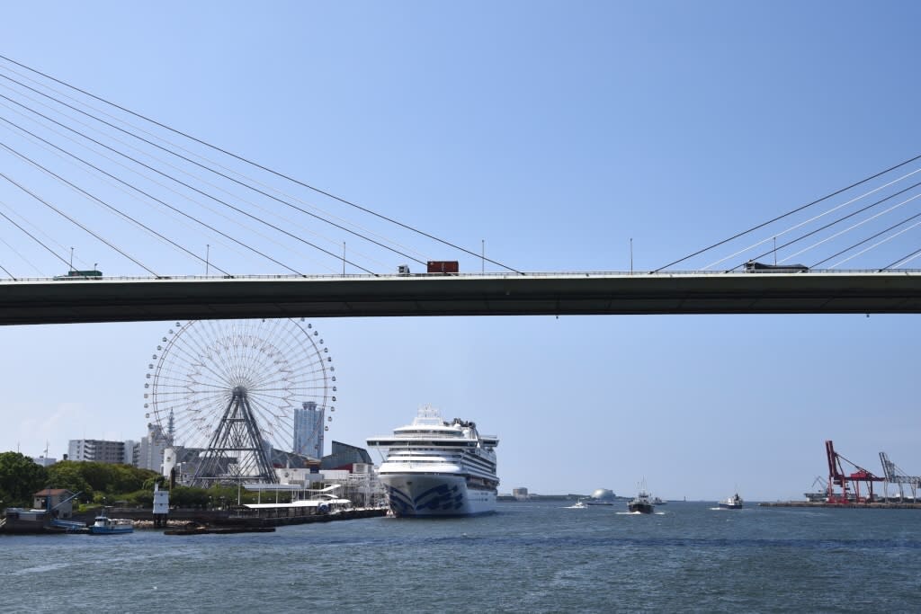 ダイヤモンド プリンセス 号 大黒ふ頭を離岸ニュース 現在は何処 大阪南港寄港のシーン ふくちゃんのブログ 飛行機 風景写真 ダイヤモンド プリンセス 号 大黒ふ頭を離岸ニュース 現在は何処 大阪南港寄港のシーン ふくちゃんのブログ 飛行機 風景写真