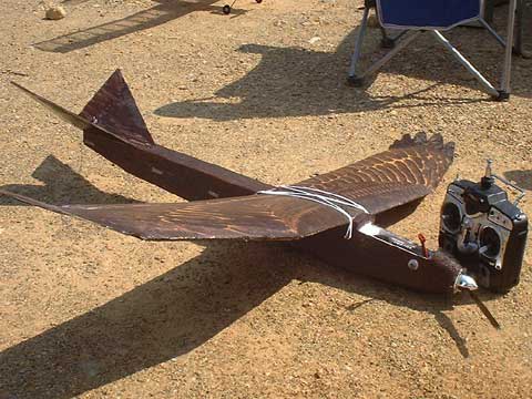 鳥型グライダー