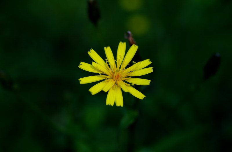 Imgp8867 Imgp8867