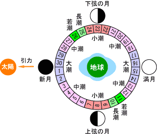 18年4月のブログ記事一覧 まるぞう備忘録