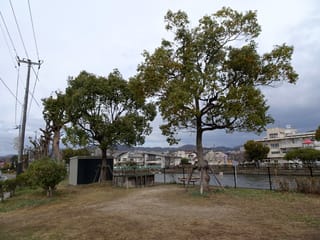 公園３