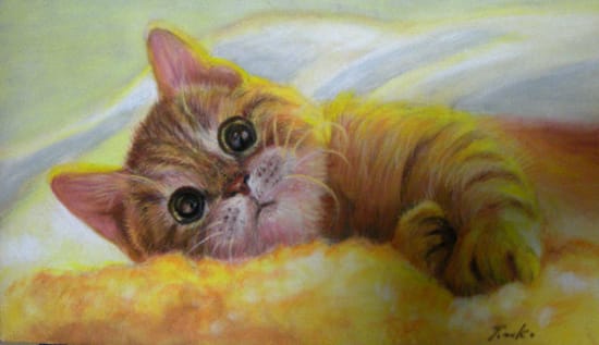 猫の絵 Photo Painting