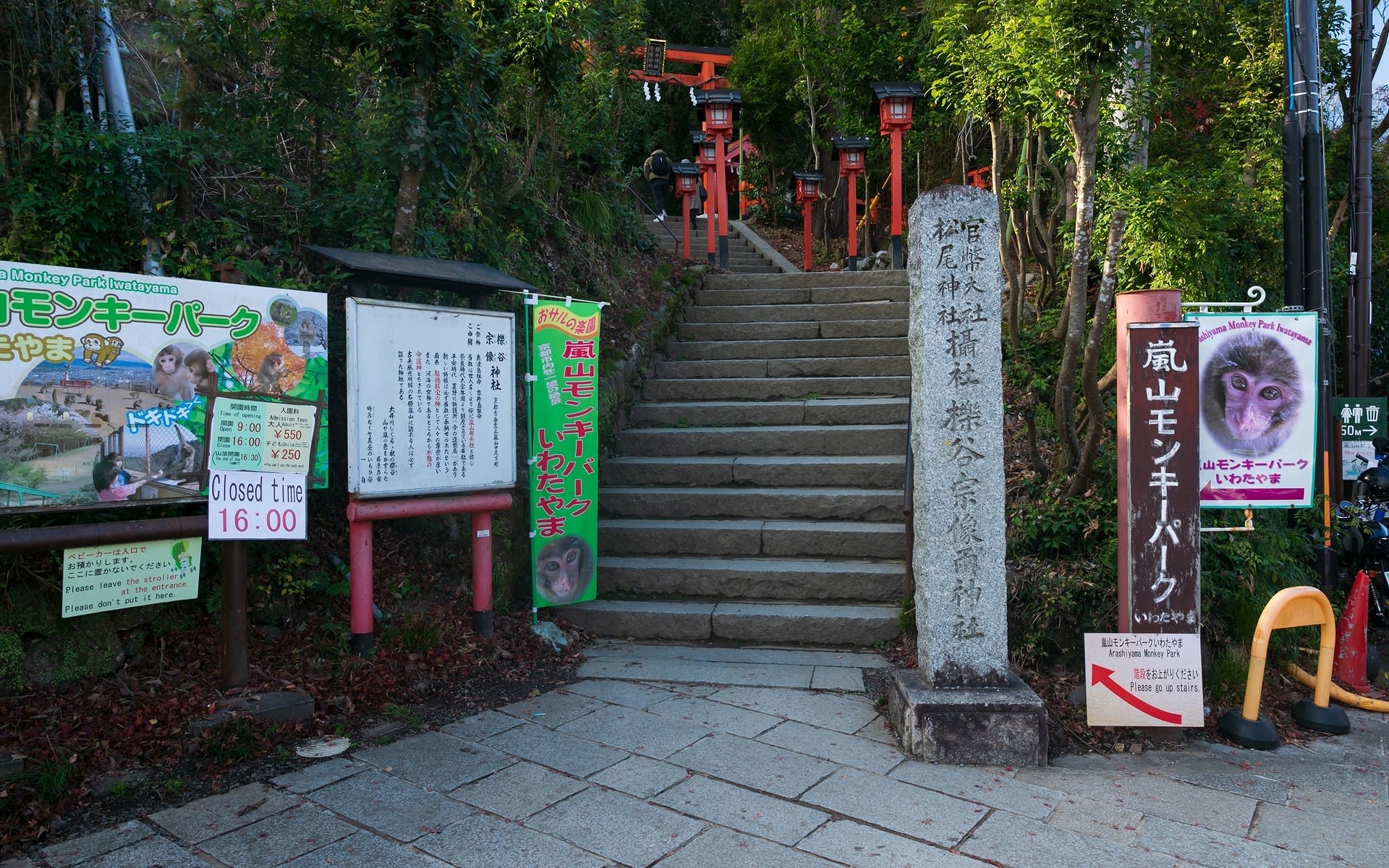 19年紅葉の京都 嵐山モンキーパークの壁紙 計41枚 壁紙 日々駄文