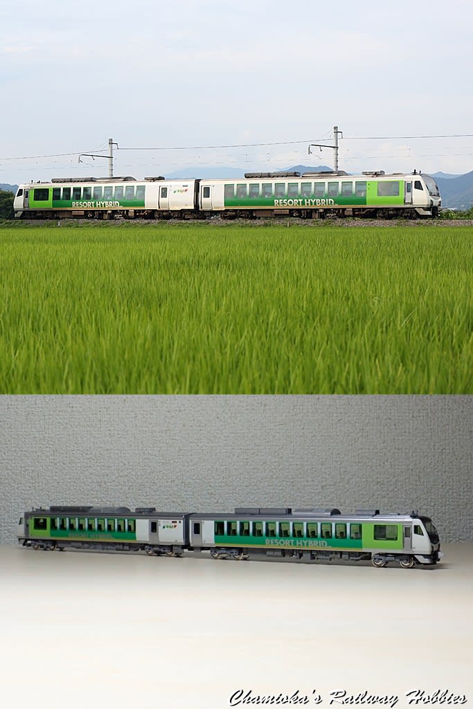 鉄道写真とNゲージ》撮影と模型で楽しむHB-E300系「リゾート 鉄道写真とNゲージ》撮影と模型で楽しむHB-E300系「リゾート