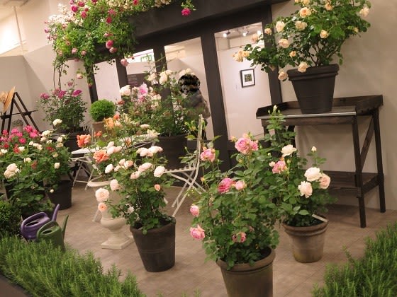 西武池袋本店 バラぐらし 素敵なバラに包まれて ７ バラの育種 バラの部屋etc 風と花とわたし