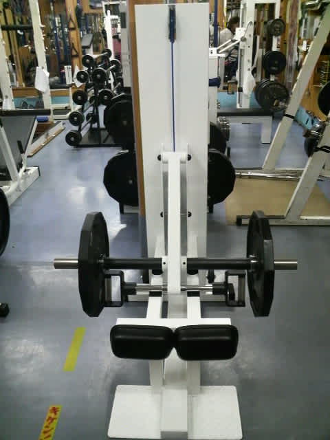 鍛錬：ポジティブデッド