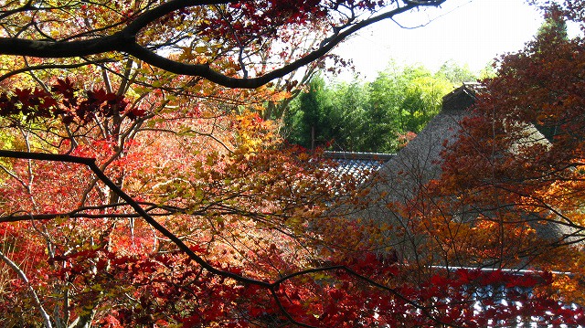 京の四季　名勝散策　写真集