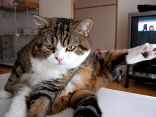 私信 まる まる 私信