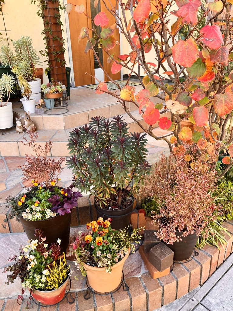 玄関を飾る秋の寄せ植え 雑木と宿根草とクレマチスの小さな庭づくり