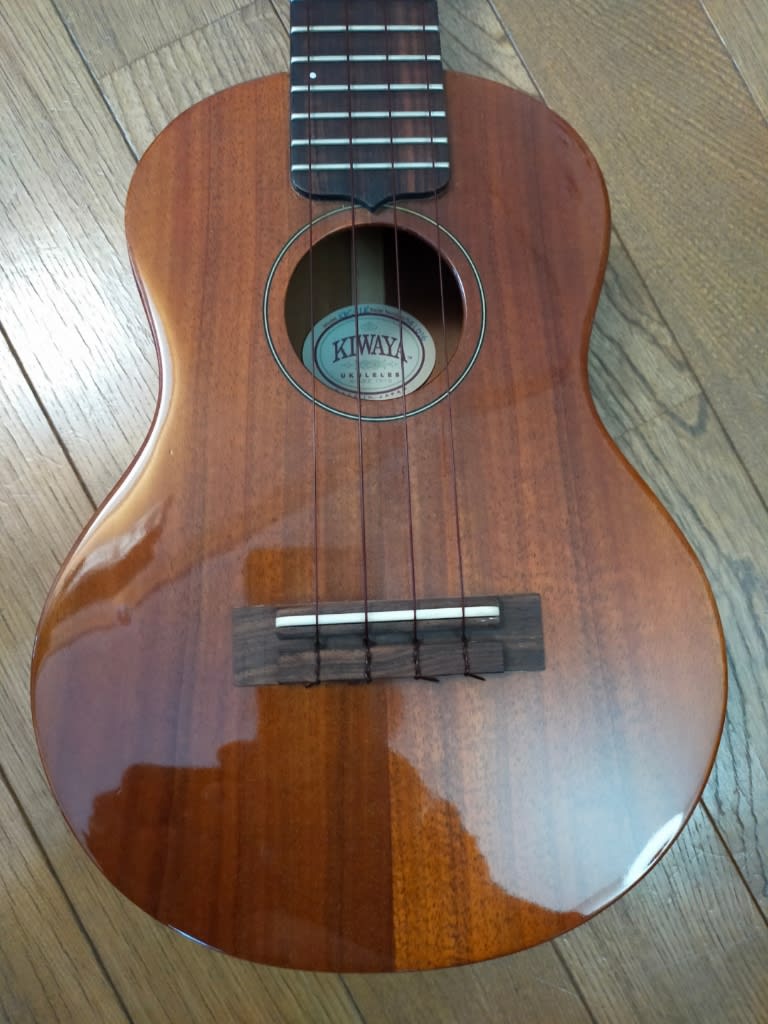 100%品質保証!100%品質保証!by Washburn LD7M アコギ -x432- 器材