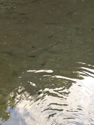 20160818_濃溝の滝_2.JPG