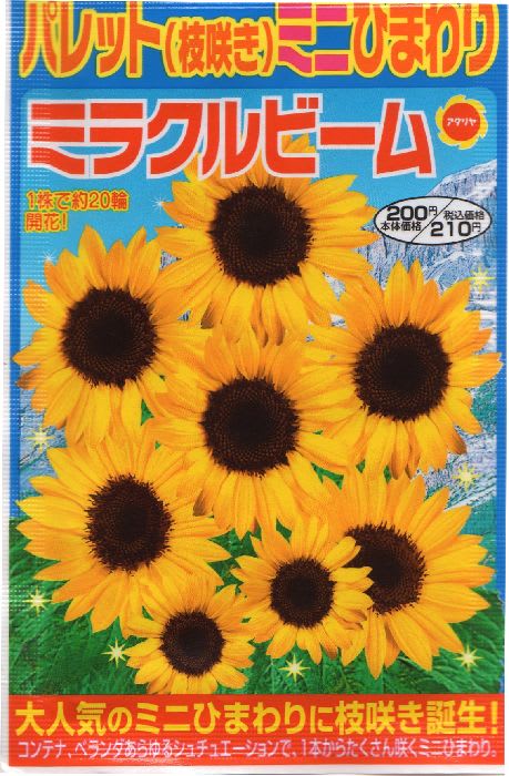 ミラクルビーム ミニひまわり 四季のうつろいretter ミラクルビーム ミニひまわり 四季のうつろいretter